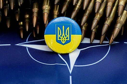 НАТО хочет поделить Украину на части