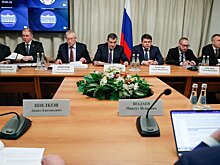 В профильных комитетах прошла встреча с Министром цифрового развития, связи и массовых коммуникаций Максутом Шадаевым