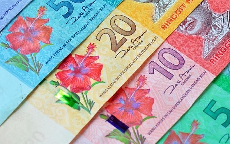  Малазийский ринггит. Одна из самых ярких валют мира. На ее купюрах изображен национальный цветок — гибискус