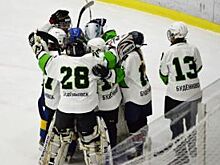 Девичья команда по хоккею из Будённовска сыграет в подмосковном Дмитрове