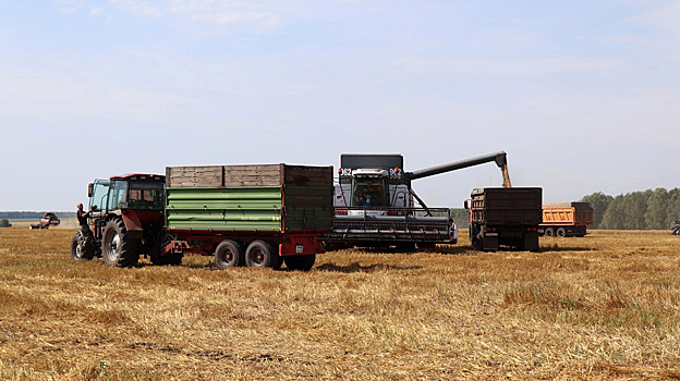 Рекордный урожай пшеницы собрали в Заводоуковском округе