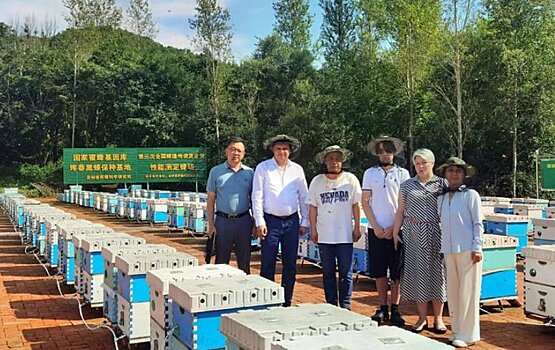 Китайские пчеловоды будут сотрудничать с коллегами из Приморского края