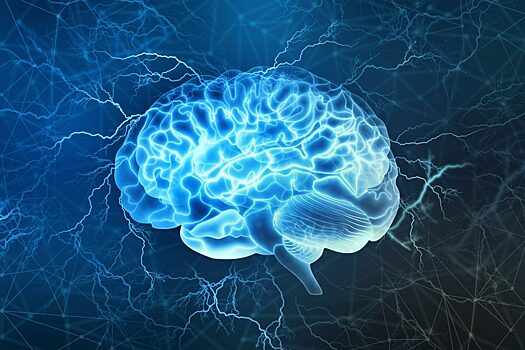 Газета.Ru: Нейротехнолог Мухина сообщила об опытах применения выращенного в пробирке мозга