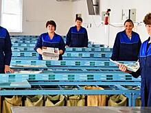 По примеру Печкина. Почтальонам Крыма раздали по дорогой «Мечте»