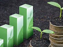 "Зеленые" финансовые продукты в России: проблемы и рекомендации