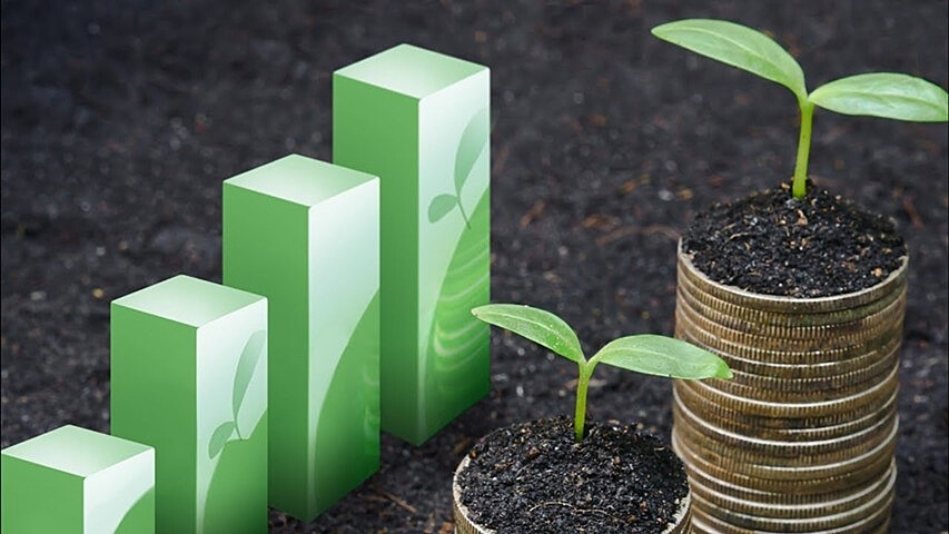 "Зеленые" финансовые продукты в России: проблемы и рекомендации