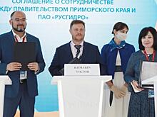 На молодежном ВЭФ обсудили необходимость регулирования социальных сетей