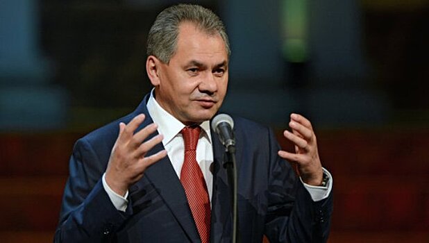 Шойгу предложил Безрукову «вместе что-нибудь сделать»