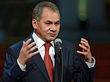 Шойгу предложил Безрукову «вместе что-нибудь сделать»