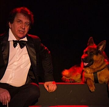 Волгоградский Казачий театр снова хочет принять на работу собаку