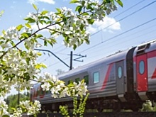 В Академический район Екатеринбурга будет ходить подземная электричка