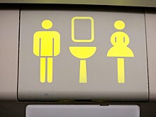 Пара занялась сексом на глазах у пассажиров самолета