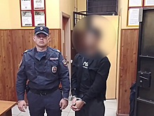 Задержаны трое молодых людей, совершивших поджог на перегоне «Залегощь – Дишня»
