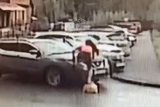 В Новосибирске спортсменка в розовом топе с гантелей разнесла авто бывшего мужа