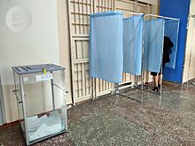 В НОМ дали оценку муниципальным выборам в России