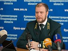 Главный лесник Владимирской области уволился по собственному желанию
