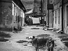 Двор моей памяти: мемуары нестарого одессита. Часть 5