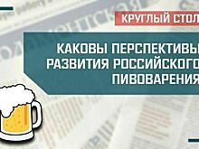 «Каковы перспективы развития российского пивоварения»