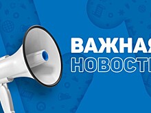 В Немском район установлен карантин по бешенству