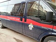 Суд рассмотрит дело ЧОПовца, чьи собаки загрызли пенсионерку в Москве
