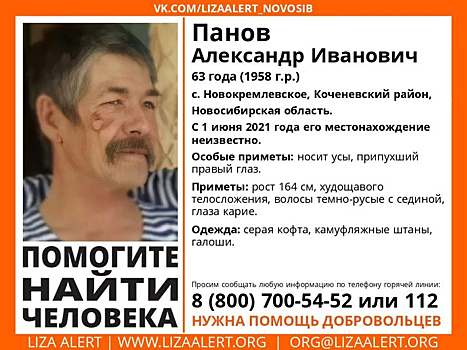 Мужчина в галошах пропал в Новосибирской области