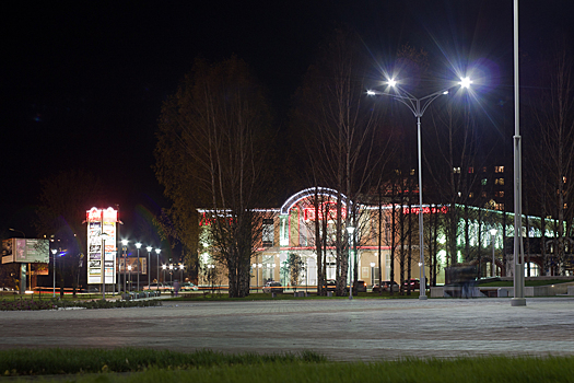 В Удмуртии при падении с крыши погибла семья