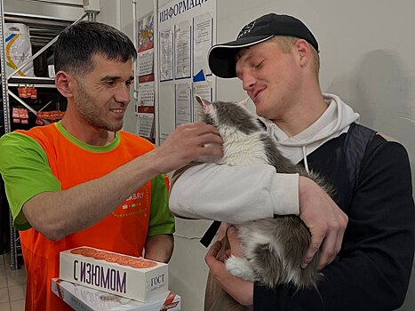 Пассажир, бросивший переноску в Шереметьево, вернулся за кошкой через девять дней