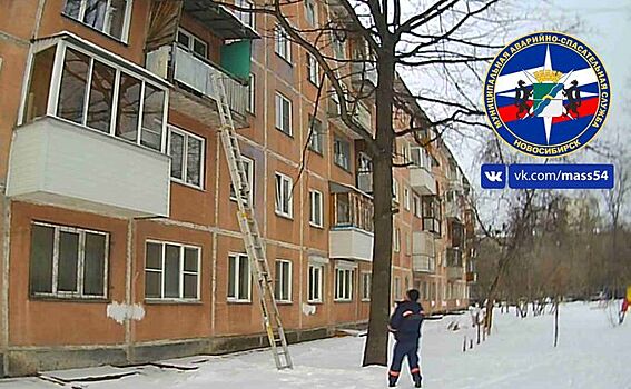 В Новосибирске двое годовалых малышей заперли на балконах своих бабушек