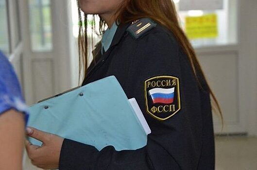 Неплательщик налогов из Приморья чуть не лишился машины