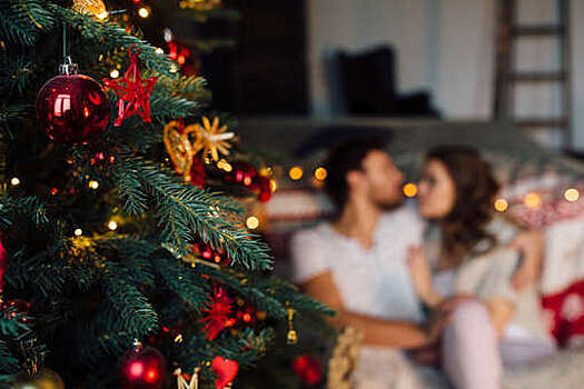 Эксперты Роскачества: живые елки нужно покупать в официальных точках продаж