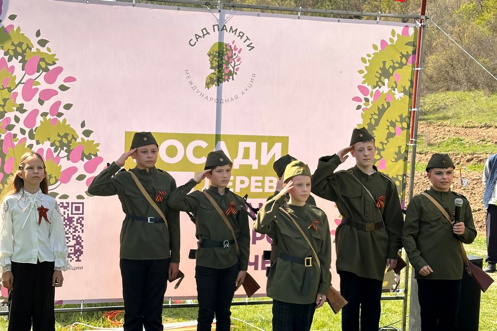 В Крыму высадили тысячи деревьев в рамках акции «Сад памяти»