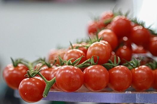 Учёные рассказали, как помидоры помогают предотвратить сердечный приступ