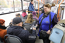 Депутаты обсудили возможность предоставления права бесплатного проезда Почетным ветеранам Нижнего Новгорода