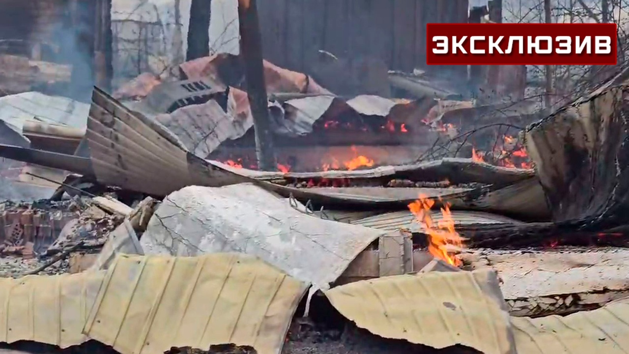 Появились кадры из полыхавшего в лесном пожаре села в Забайкалье