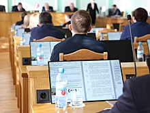 «Хотели разделить и продать частями»: омские депутаты одобрили акционирование МУП «Муниципальные рынки»