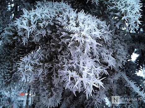 Морозы до -10℃ придут в Нижний Новгород в выходные