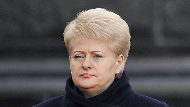 Рейтинг президента Литвы упал в два раза