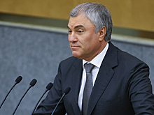 Володин предлагает бороться с бездомными животными через местную власть