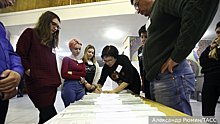 Политолог Игнатов рассказал о действиях наблюдателей на выборах при возникновении проблемной ситуации