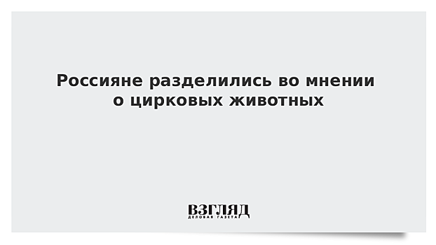 Россияне разделились во мнении о цирковых животных