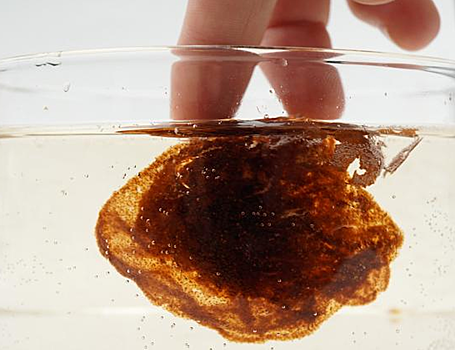 Ученые создали гидрогель из чайных орехов для медицины