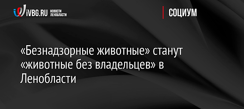 «Безнадзорные животные» станут «животные без владельцев» в Ленобласти