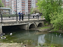 В Благовещенске планируют расчистить русло Бурхановки