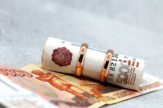 "Новые люди" предложили разрешить проверять кредитную историю будущего супруга