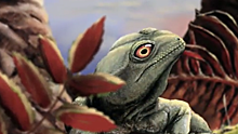 Описана доисторическая ящерка с необыкновенно сильными челюстями
