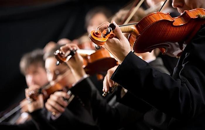 Муниципальный молодежный симфонический оркестр начнет свою работу в районе Люблино