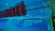 Во Дворце спорта «Юность» завершается чемпионат и первенство СЗФО по плаванию