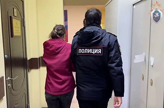 Дошкольник два часа истекал кровью после нападения родной матери в Армавире