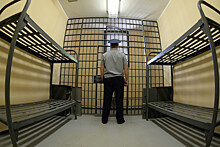 ФСИН поддержала поправки об ужесточении наказания за пытки в тюрьмах