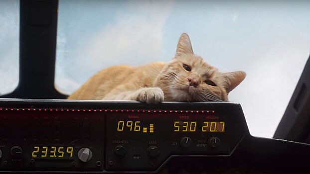 Режиссёр картины «Капитан Марвел» рассказала, почему кошку Гусю сыграл кот